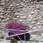 Vicolo Del Nido Nocleg ze śniadaniem Paderno Franciacorta