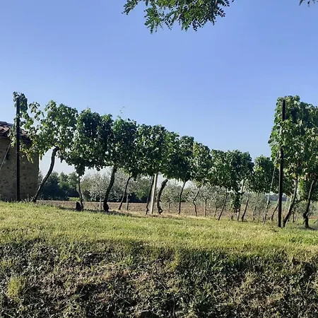 Vicolo Del Nido 3*